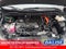 2025 Toyota Sienna Platinum