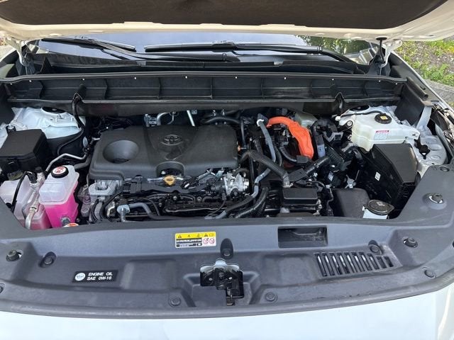 2025 Toyota Highlander Hybrid XLE