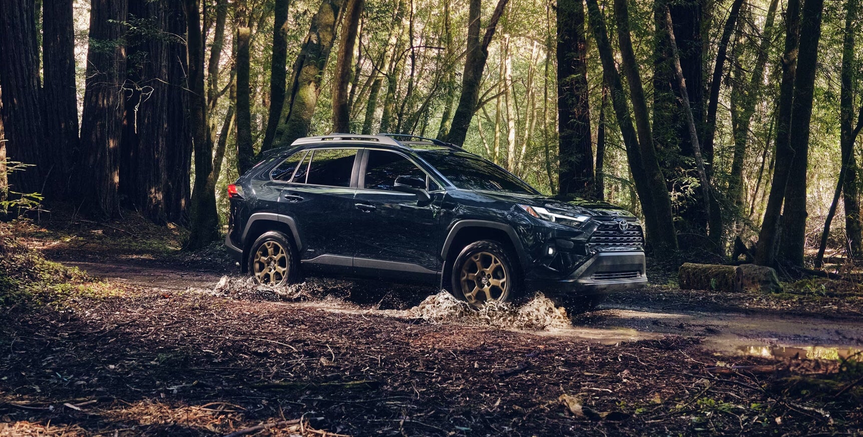 2025 Toyota RAV4 Hybrid Hero